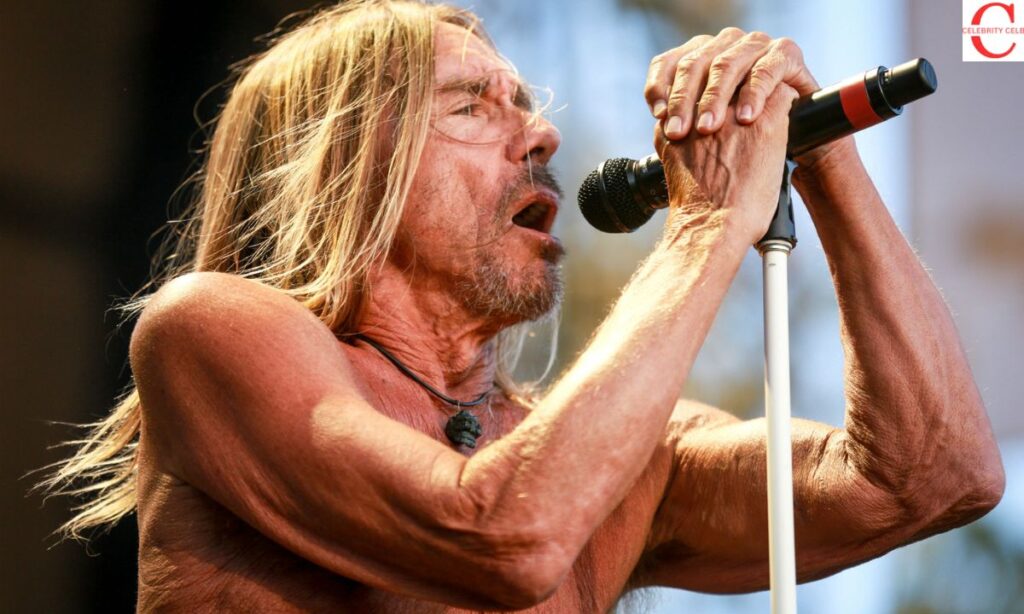 How Iggy Pop Built His Wealth Through Music