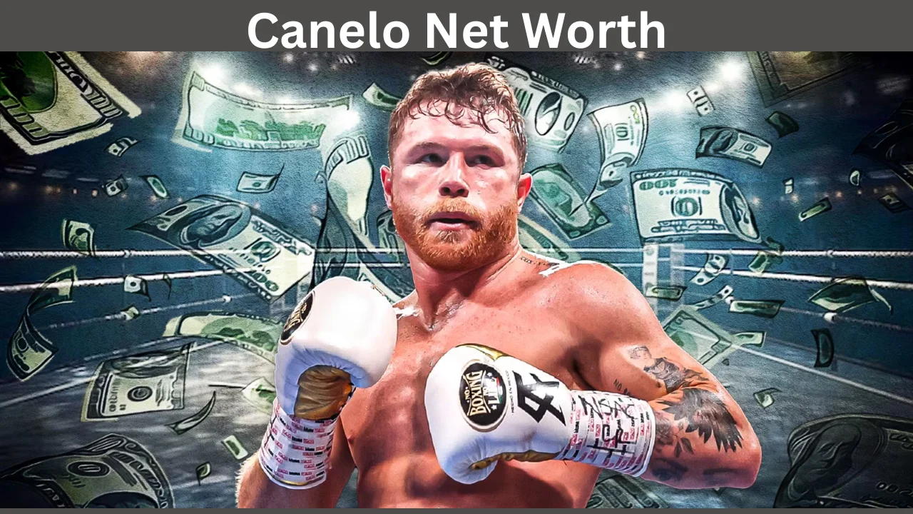 canelo net worth