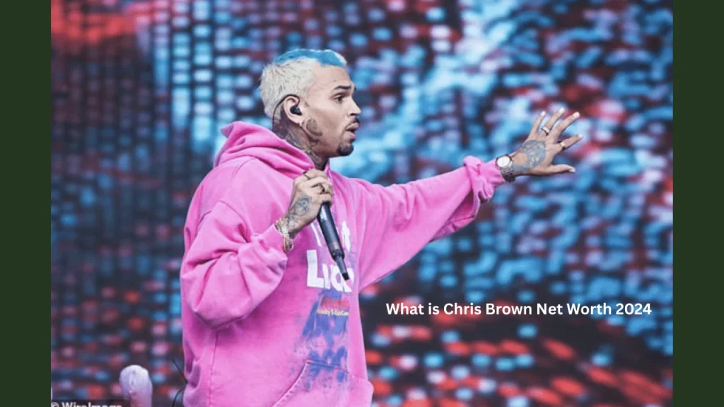 What is Chris Brown Net Worth 2024