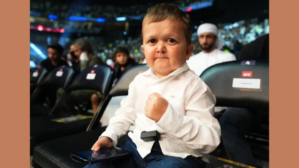 What is Hasbulla Net Worth?