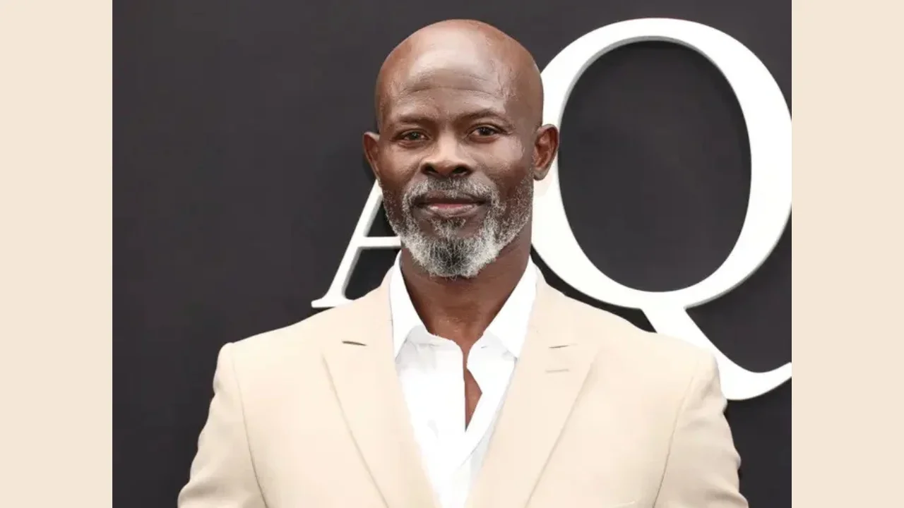djimon hounsou net worth